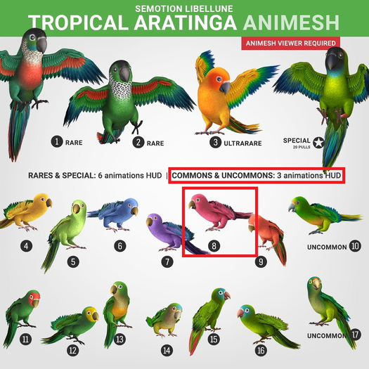 SEmotion Libellune Tropical Aratinga Animesh #8