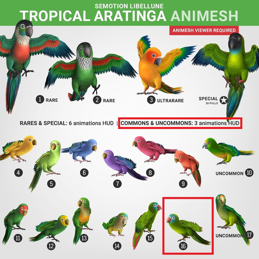 SEmotion Libellune Tropical Aratinga Animesh #16