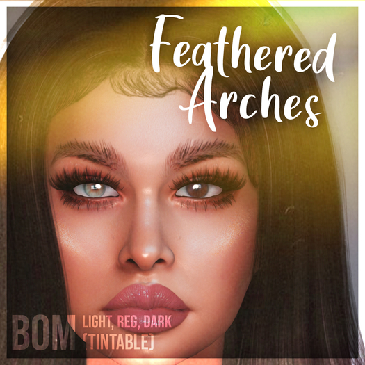Feathered Arches Brows - KLUBBHAUS