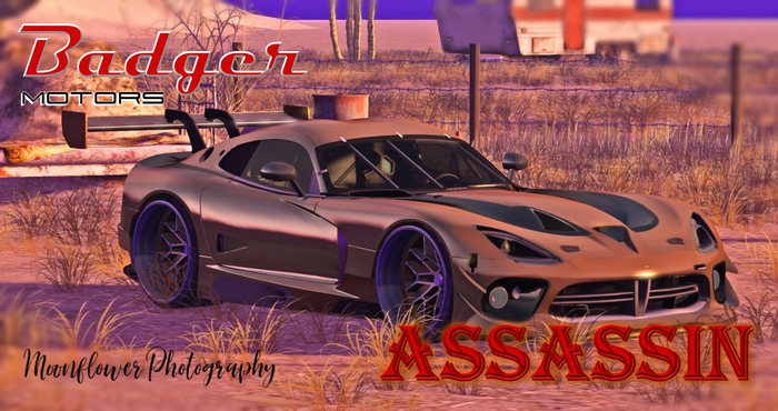 [Badger Motors] Assassin Turbo Crate