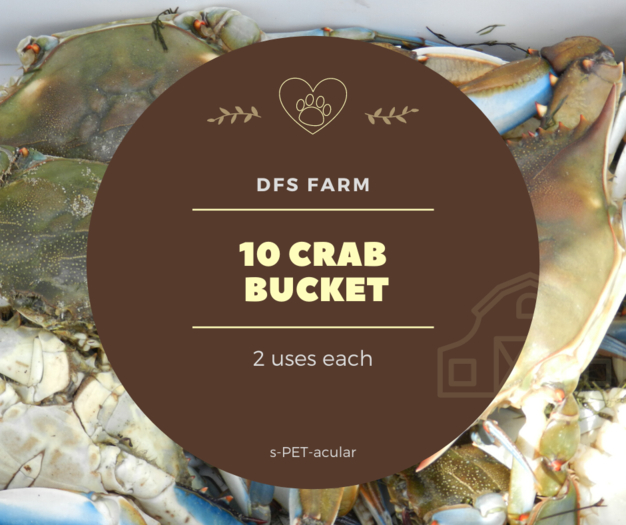 [10] DFS Crab Bucket