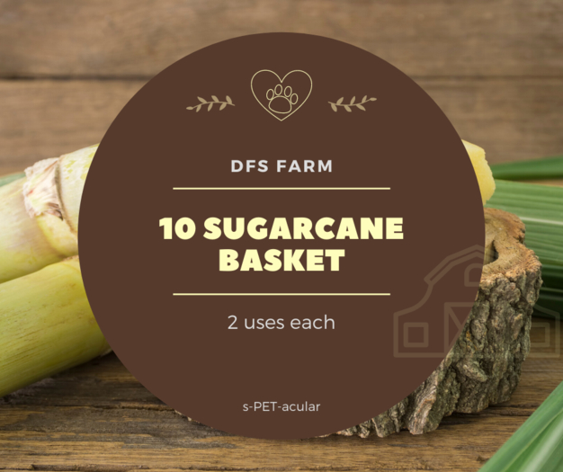 [10] DFS Sugarcane Basket
