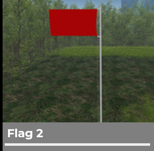 Flag 2