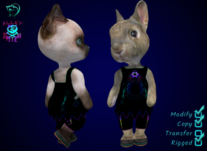 Dinkie Shaman Dress Set