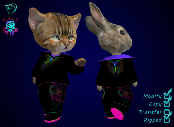Dinkie Psy Owl Hoodie&Pants Set