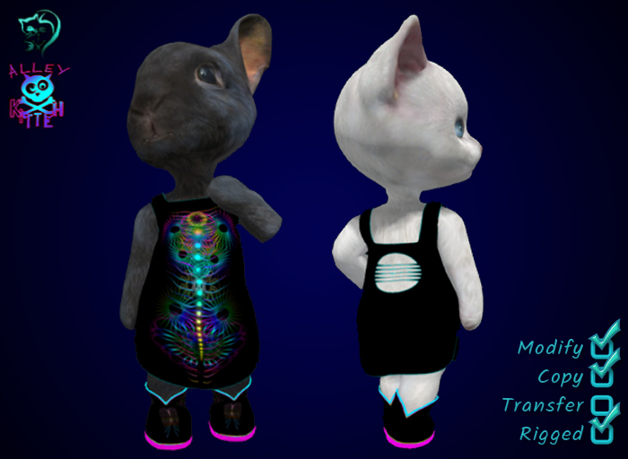 Dinkie Hitchikers Dress Set