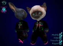 Dinkie Dragons Jacket&Cargos Set