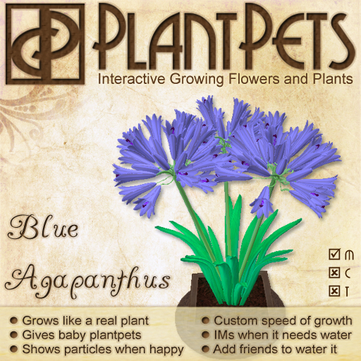 PlantPet Seed [Agapanthus *Blue*]