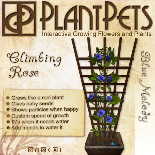 PlantPet Seed [Climbing Rose *Blue Melody*]