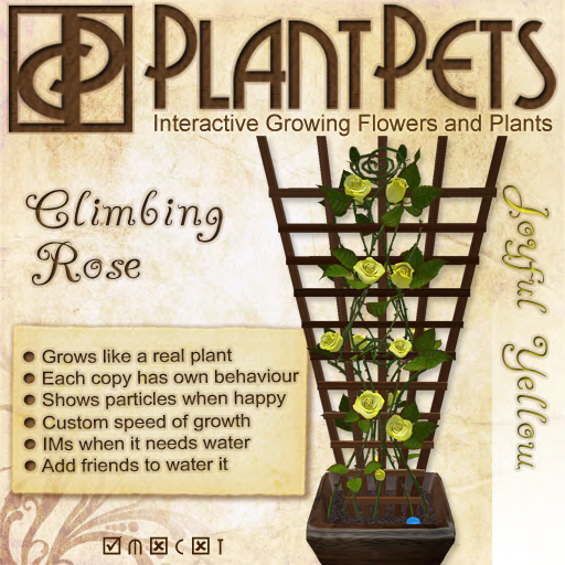 PlantPet Seed [Climbing Rose *Joyful Yellow*]