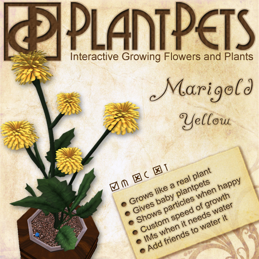 PlantPet Seed [Marigold *Yellow*]