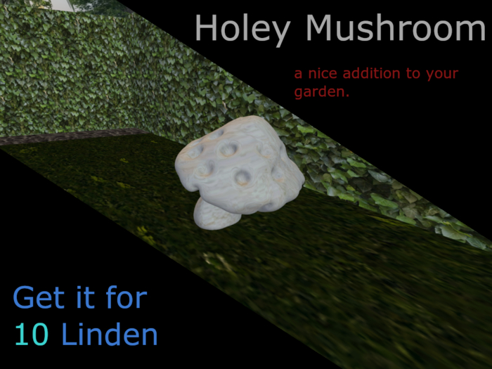 holey mushroom