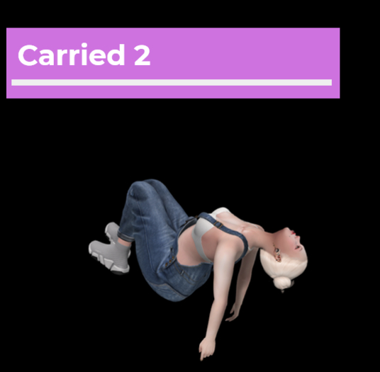 [Pose Ball] Carried 2