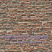 Second Life Marketplace - Brick Old Roman Wide Red Seamless Texture