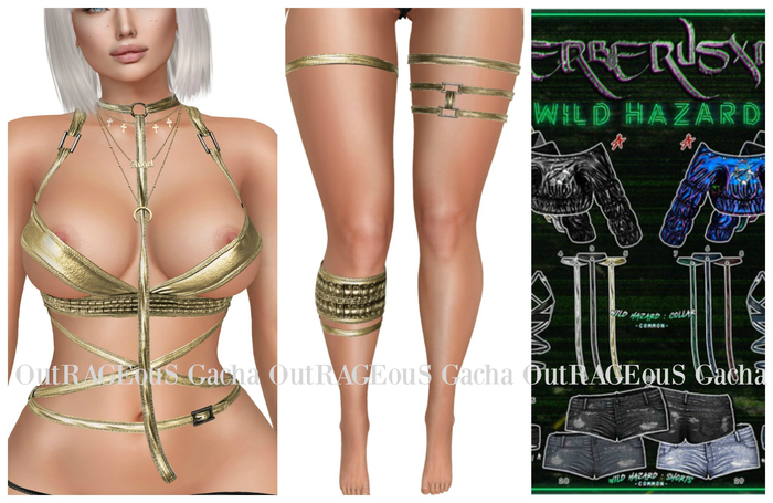 [CX] Wild Hazard 4 Piece Set - Gold // Maitreya