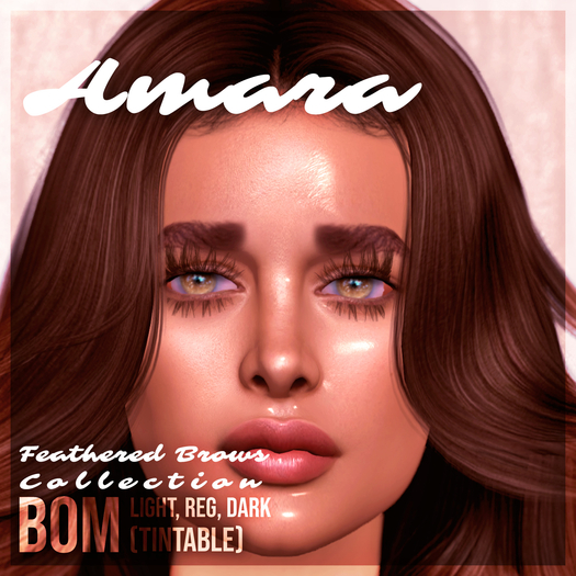Feathered Collection - Amara BOM Brows 