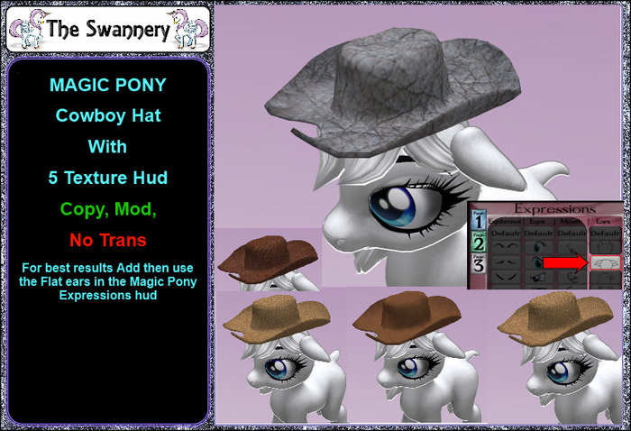 Magik Pony Cowboy Hat + 5 Texture HUD