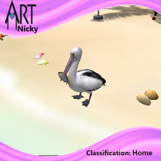 Pelican Eat fish Poop