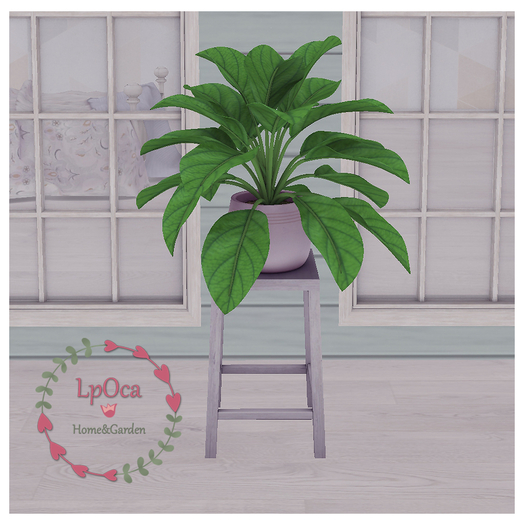 LpOca Arbor  Plant