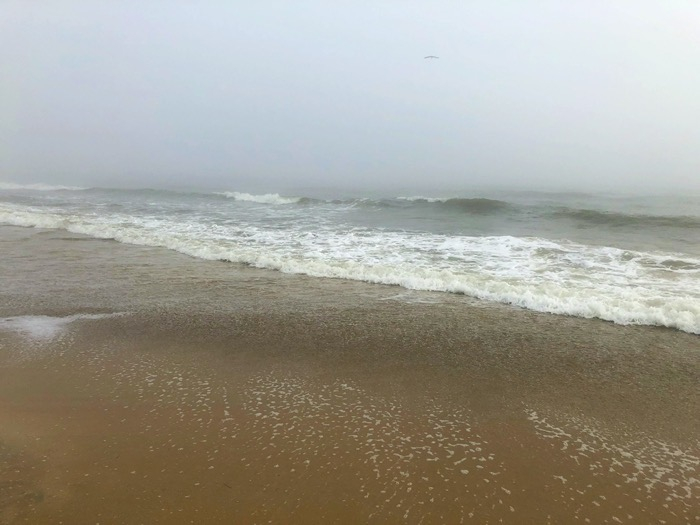 Original Photo, Beach Fog, Unframed