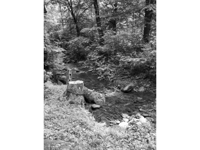 Mountain Stream Photo