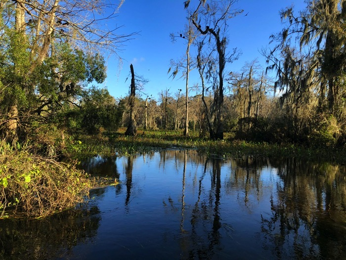 Wakulla Springs 2 Photo