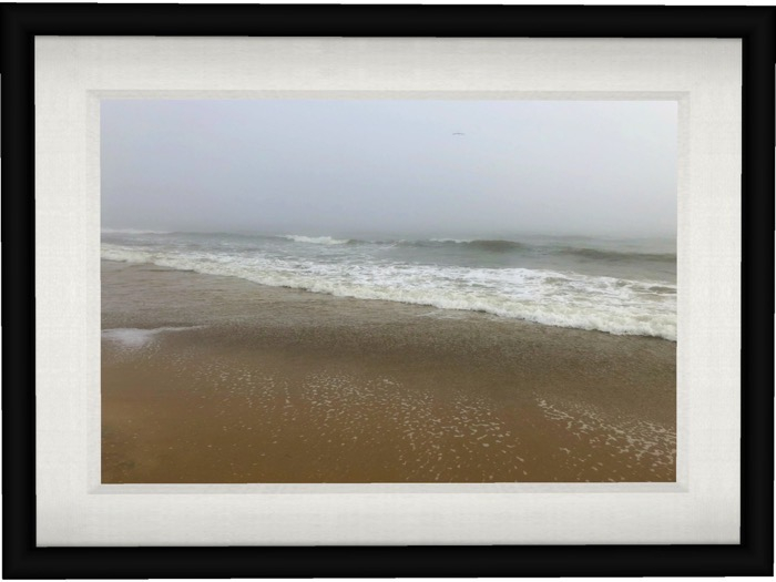 Beach Fog (black mesh frame)