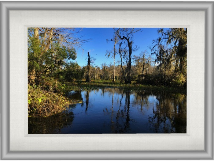 Wakulla Springs (white mesh frame)