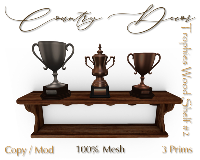= Country Decor = - Trophies Wood Shelf #2
