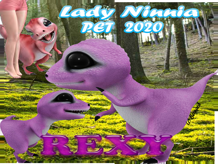 ~MR~Rexy pet~ #5