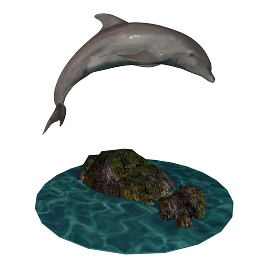 Dolphin Tip Jar