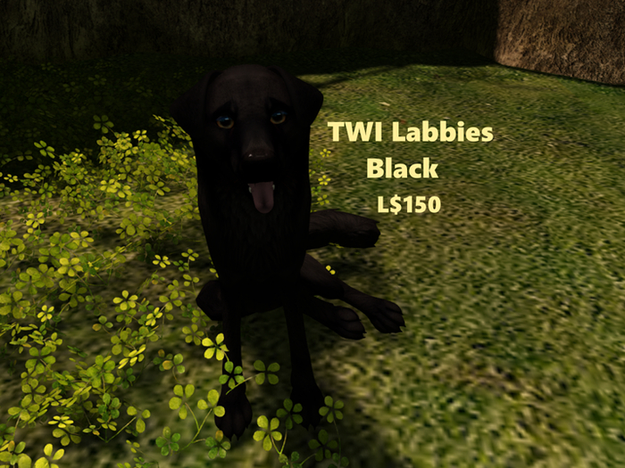 TWI Wolf Labbies Black