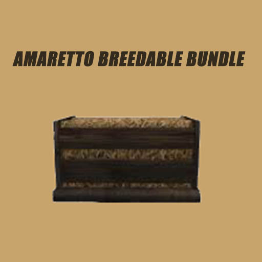 White Andalusian/Pegasus