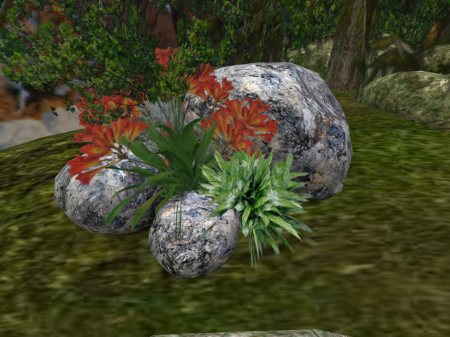 Rocks and shrubs