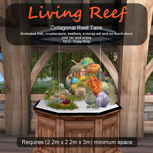 Inochi Reef : Hexagonal Reef Tank (2.2x2.2x3)