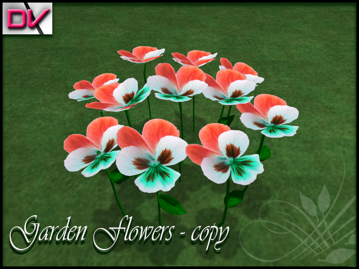 vendor Violaceae red - mint