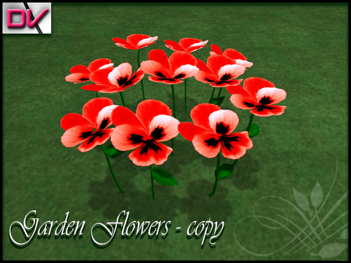 vendor Violaceae red