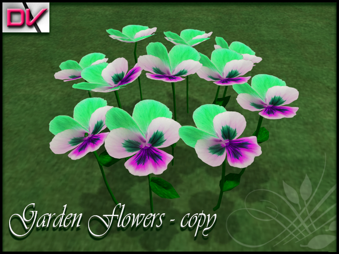 vendor Violaceae mint - pink
