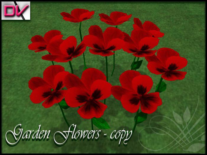 vendor Violaceae dark red