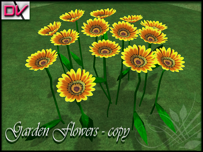 vendor Sunflower origin