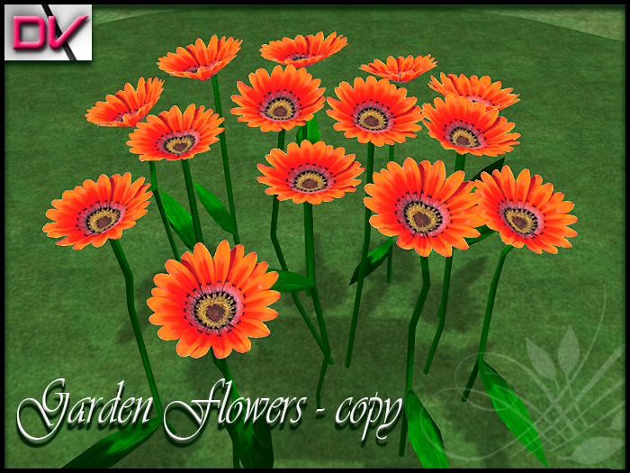 vendor Sunflower orange
