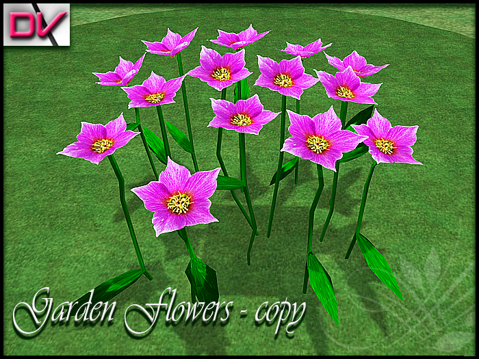vendor Starbelia flowers pink
