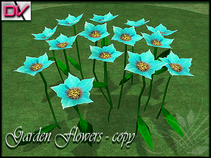 vendor Starbelia flowers Mint