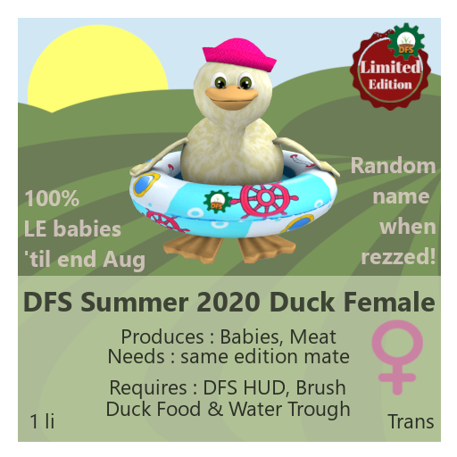 DFS Summer 2020 Duck Female