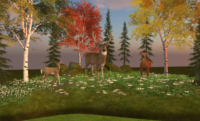 *DE*  DEER FOREST  (BOX)