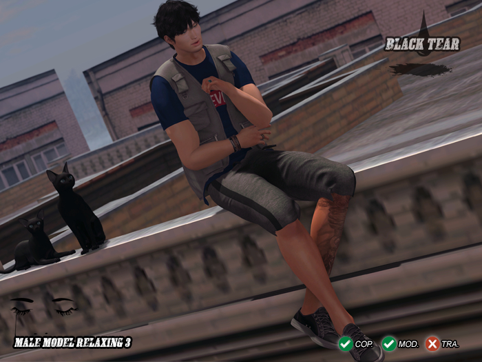 /BT/ Male Model Relaxing 3 MP (BOXED)
