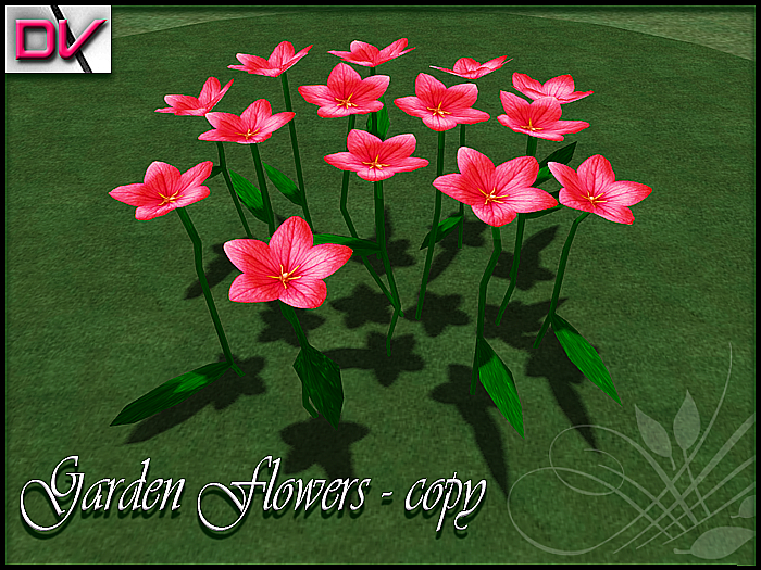 vendor Balloon flowers red