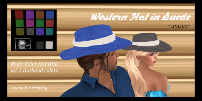 Western Hat in Suede