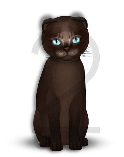 KittyCatS Box - 9T-F Abyssinian Dark Chocolate - Petite