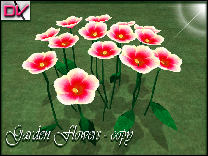 vendor Garden flowers hibiscus red